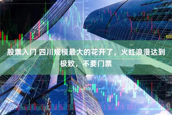 股票入门 四川规模最大的花开了，火红浪漫达到极致，不要门票