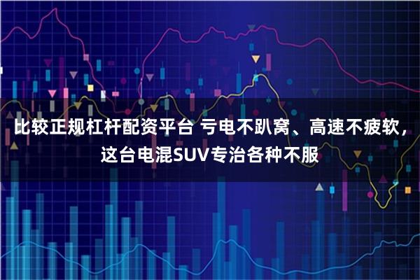 比较正规杠杆配资平台 亏电不趴窝、高速不疲软，这台电混SUV专治各种不服