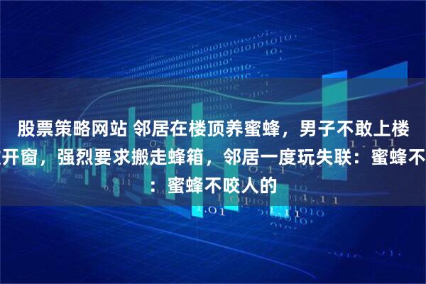 股票策略网站 邻居在楼顶养蜜蜂，男子不敢上楼、不敢开窗，强烈要求搬走蜂箱，邻居一度玩失联：蜜蜂不咬人的