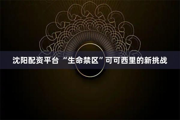 沈阳配资平台 “生命禁区”可可西里的新挑战